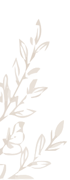 和の葉